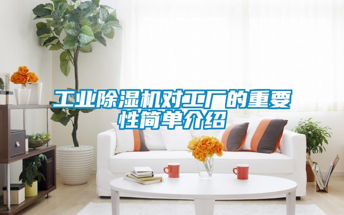星空娱乐彩票是什么网站对工厂的重要性简单介绍
