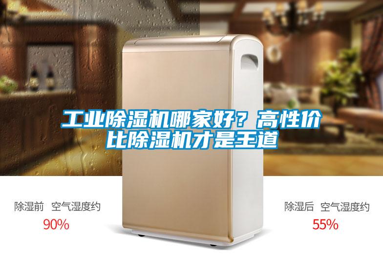 星空娱乐彩票是什么网站哪家好？高性价比除湿机才是王道