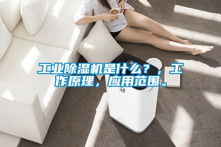 星空娱乐彩票是什么网站是什么？，工作原理，应用范围。