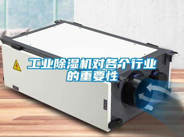星空娱乐彩票是什么网站对各个行业的重要性