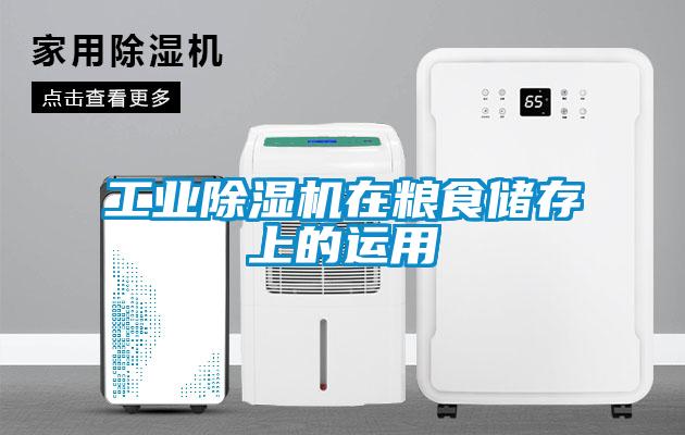 星空娱乐彩票是什么网站在粮食储存上的运用