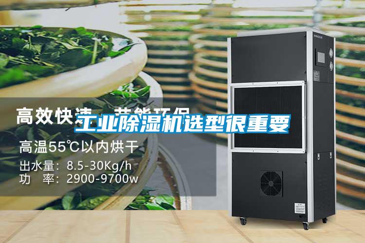 星空娱乐彩票是什么网站选型很重要