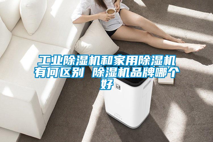 星空娱乐彩票是什么网站和星空体育app官网有何区别 除湿机品牌哪个好