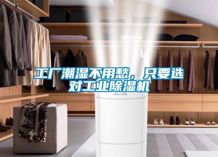 工厂潮湿不用愁，只要选对星空娱乐彩票是什么网站