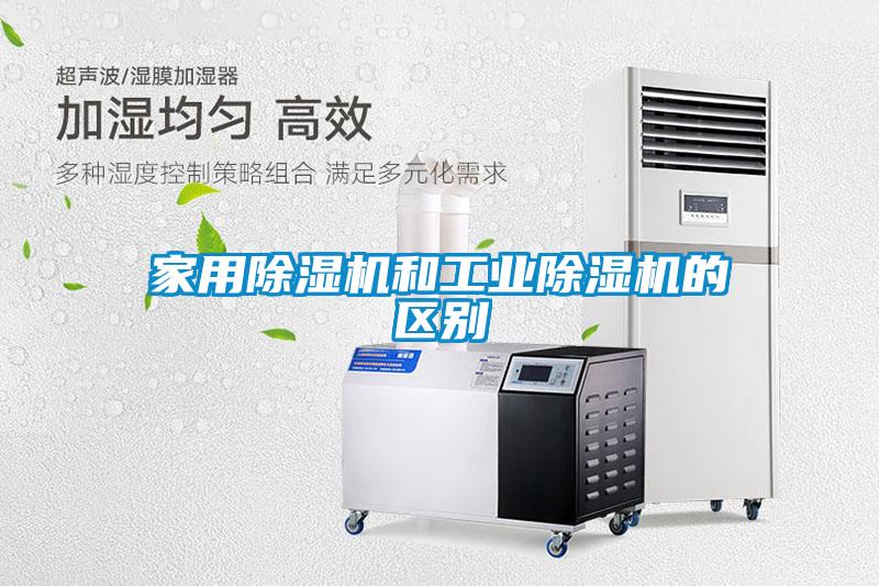 星空体育app官网和星空娱乐彩票是什么网站的区别