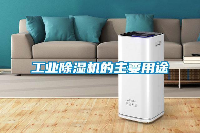 星空娱乐彩票是什么网站的主要用途