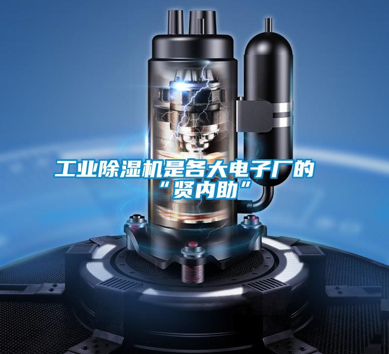 星空娱乐彩票是什么网站是各大电子厂的“贤内助”