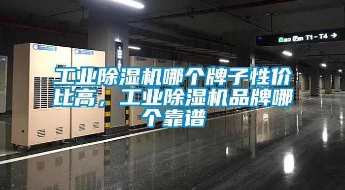 星空娱乐彩票是什么网站哪个牌子性价比高，星空娱乐彩票是什么网站品牌哪个靠谱