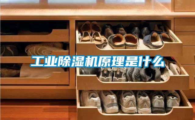 星空娱乐彩票是什么网站原理是什么
