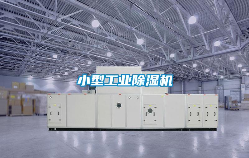 小型星空娱乐彩票是什么网站