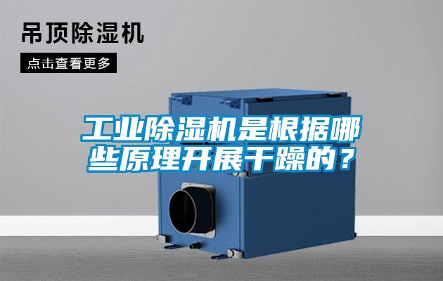 星空娱乐彩票是什么网站是根据哪些原理开展干躁的？