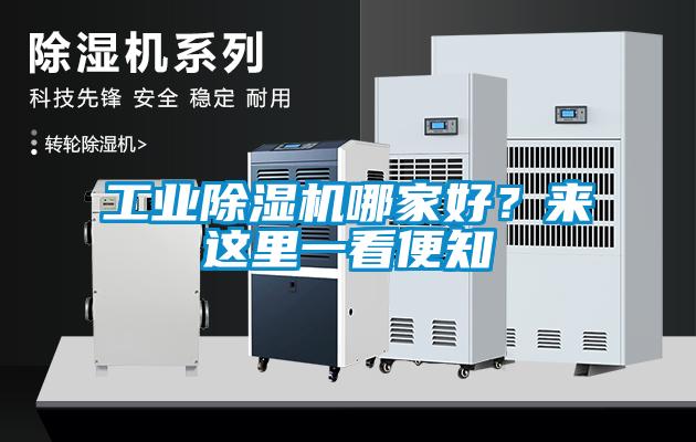 星空娱乐彩票是什么网站哪家好？来这里一看便知