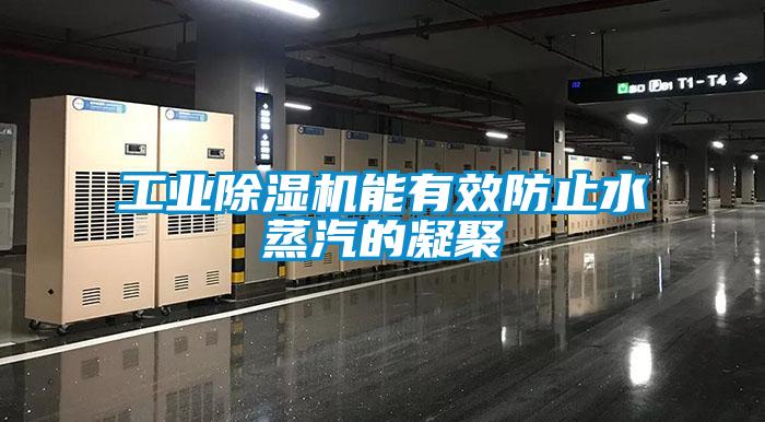 星空娱乐彩票是什么网站能有效防止水蒸汽的凝聚