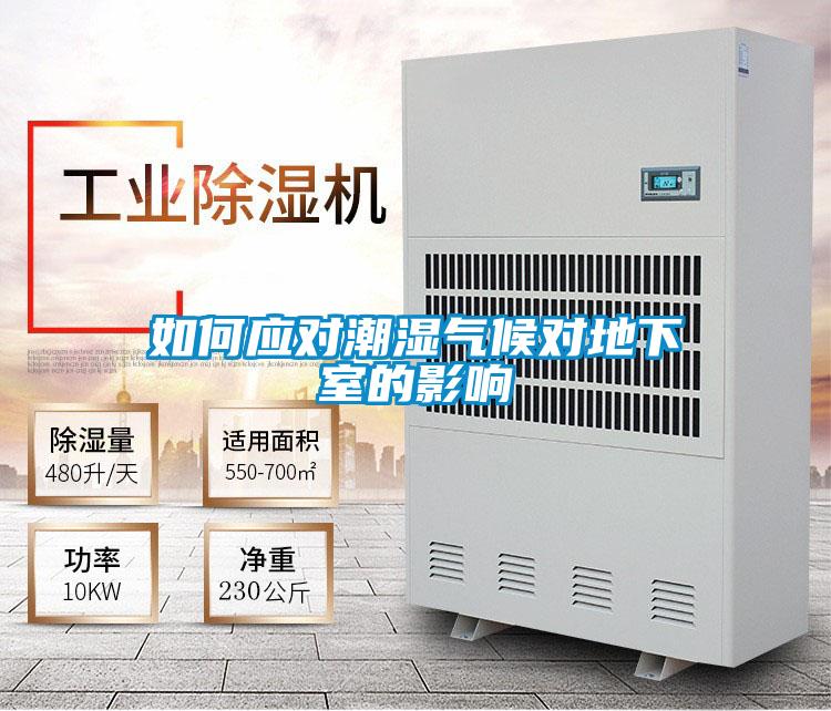 如何应对潮湿气候对地下室的影响