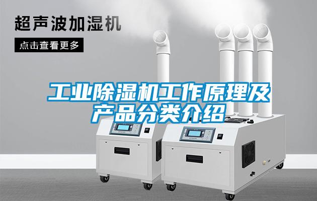 星空娱乐彩票是什么网站工作原理及产品分类介绍