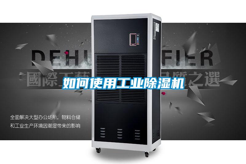 如何使用星空娱乐彩票是什么网站