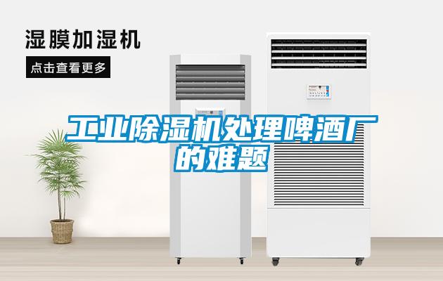 星空娱乐彩票是什么网站处理啤酒厂的难题