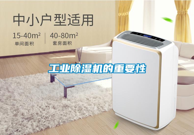 星空娱乐彩票是什么网站的重要性