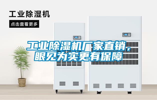 星空娱乐彩票是什么网站厂家直销，眼见为实更有保障