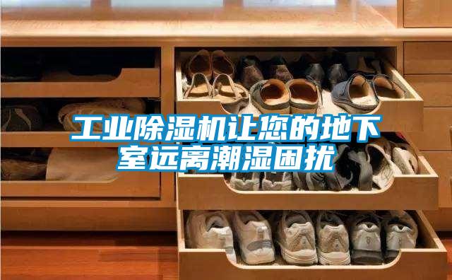 星空娱乐彩票是什么网站让您的地下室远离潮湿困扰