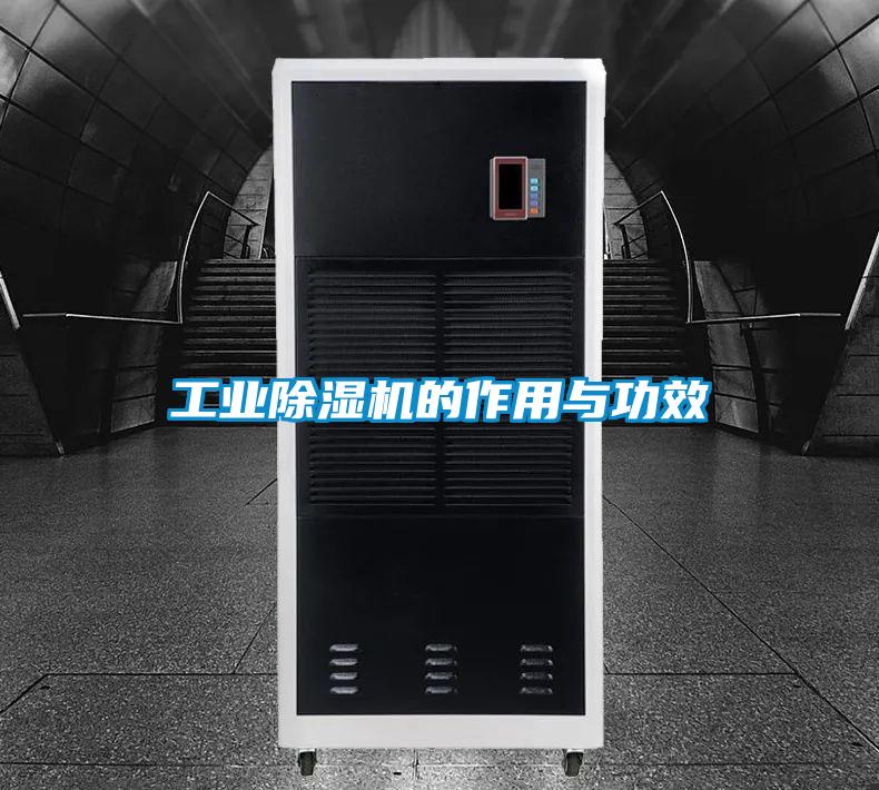 星空娱乐彩票是什么网站的作用与功效