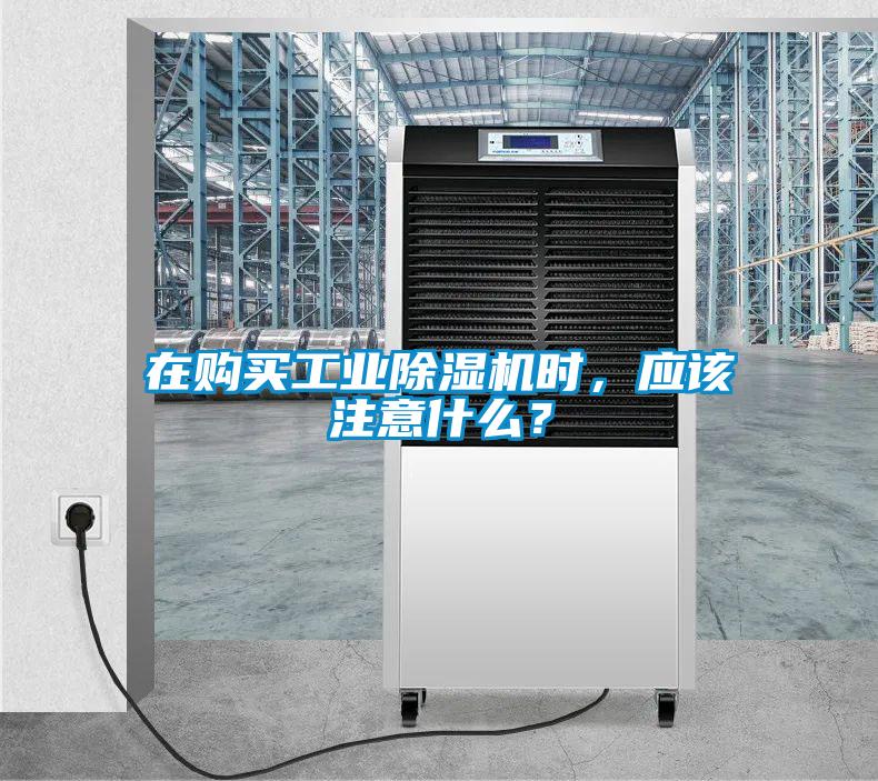 在购买星空娱乐彩票是什么网站时，应该注意什么？