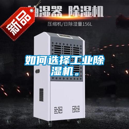 如何选择星空娱乐彩票是什么网站。