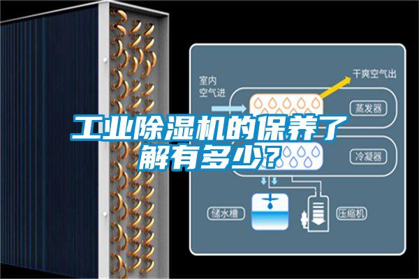 星空娱乐彩票是什么网站的保养了解有多少？