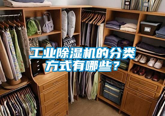 星空娱乐彩票是什么网站的分类方式有哪些？