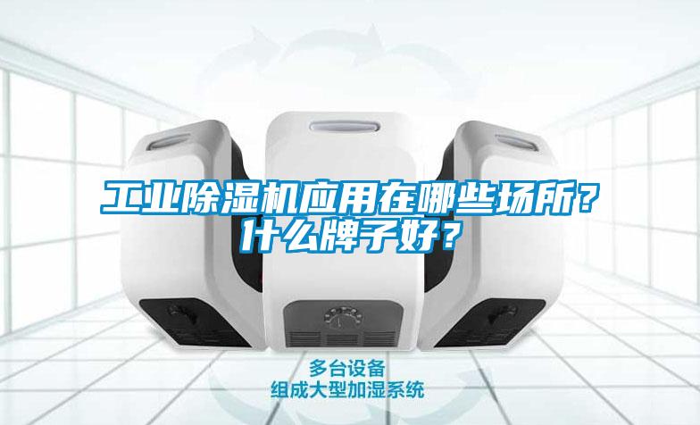星空娱乐彩票是什么网站应用在哪些场所？什么牌子好？