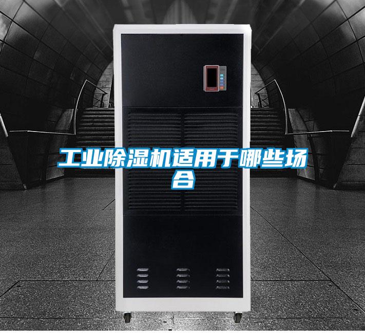 星空娱乐彩票是什么网站适用于哪些场合