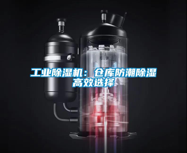 星空娱乐彩票是什么网站：仓库防潮除湿高效选择