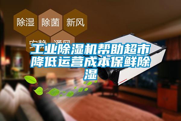 星空娱乐彩票是什么网站帮助超市降低运营成本保鲜除湿