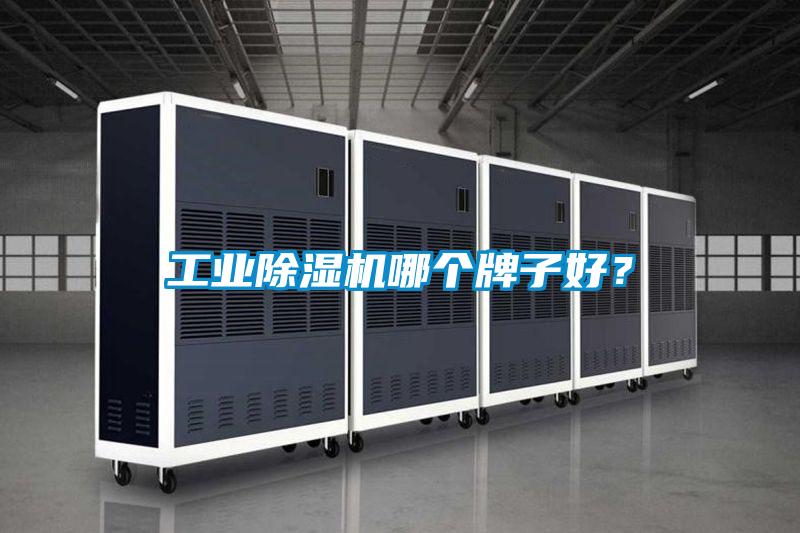 星空娱乐彩票是什么网站哪个牌子好？