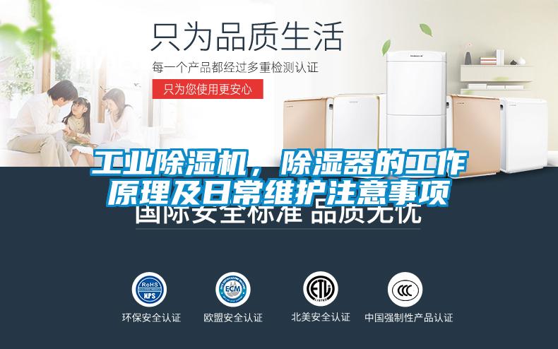 星空娱乐彩票是什么网站，除湿器的工作原理及日常维护注意事项