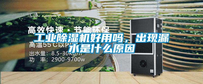 星空娱乐彩票是什么网站好用吗，出现漏水是什么原因