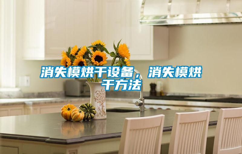 消失模烘干设备，消失模烘干方法