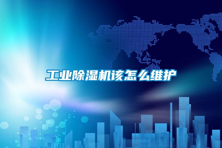 星空娱乐彩票是什么网站该怎么维护