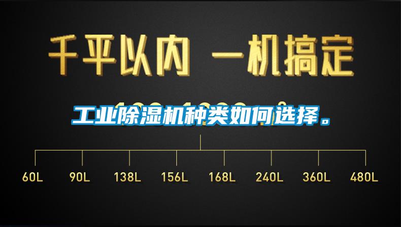 星空娱乐彩票是什么网站种类如何选择。