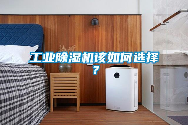 星空娱乐彩票是什么网站该如何选择？