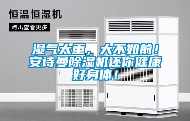 湿气太重，大不如前！xk星空体育官网除湿机还你健康好身体！