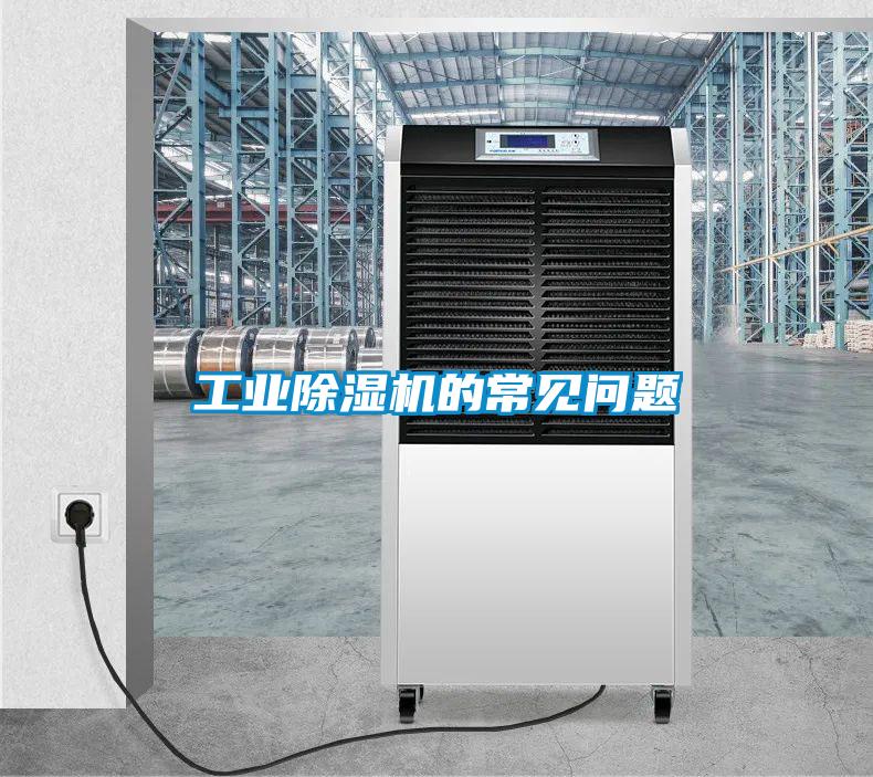 星空娱乐彩票是什么网站的常见问题