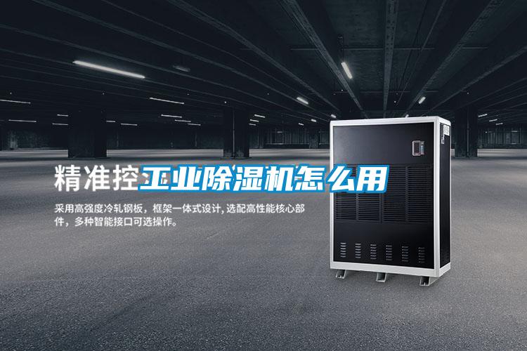 星空娱乐彩票是什么网站怎么用
