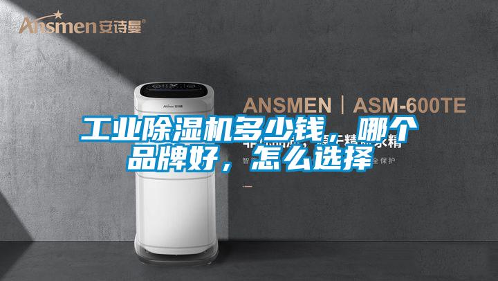 星空娱乐彩票是什么网站多少钱，哪个品牌好，怎么选择