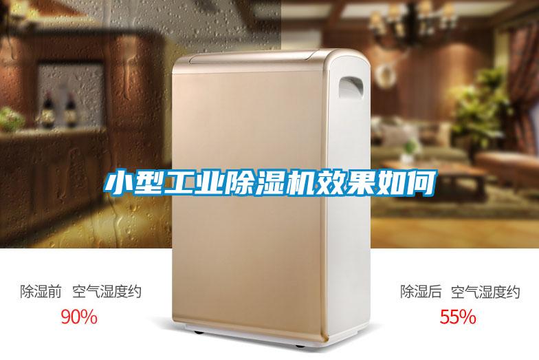 小型星空娱乐彩票是什么网站效果如何