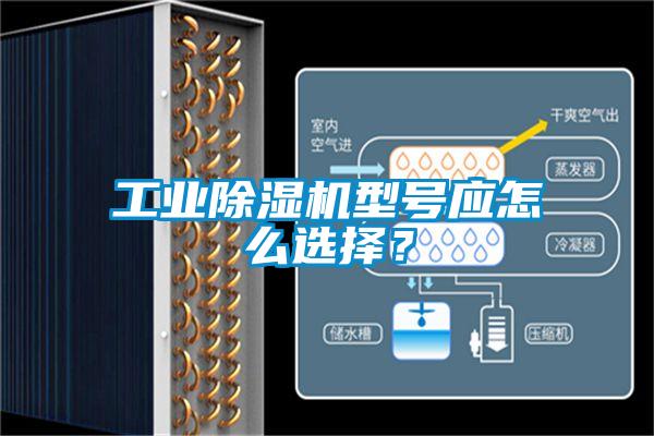 星空娱乐彩票是什么网站型号应怎么选择？