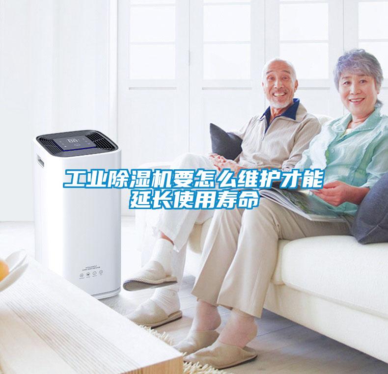星空娱乐彩票是什么网站要怎么维护才能延长使用寿命