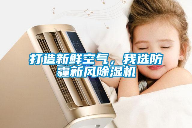打造新鲜空气，我选防霾新风除湿机