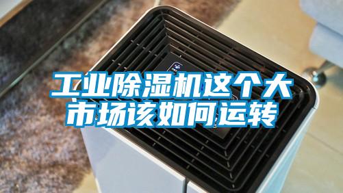 星空娱乐彩票是什么网站这个大市场该如何运转