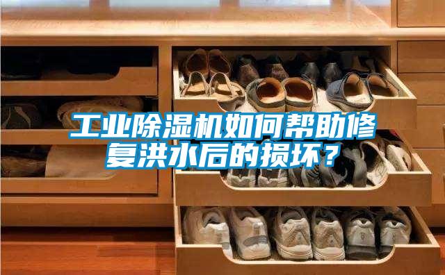 星空娱乐彩票是什么网站如何帮助修复洪水后的损坏？
